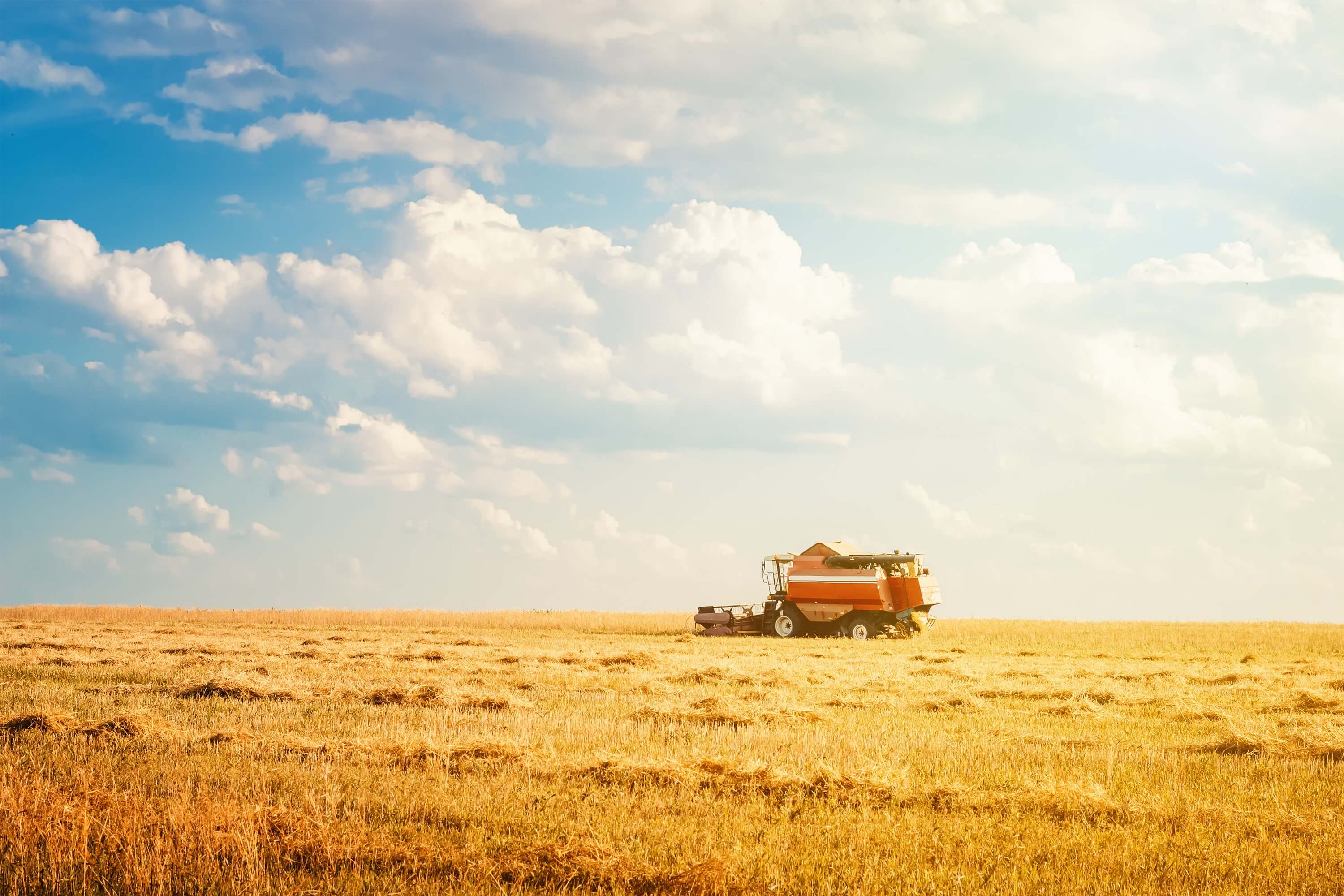 June 2021 Newsletter