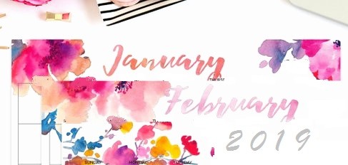 January/February 2019 Newsletter